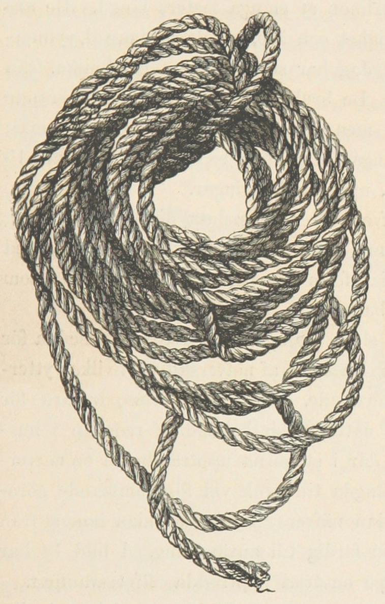 clawmarks:Hazelius - 1881 - via Wikimedia