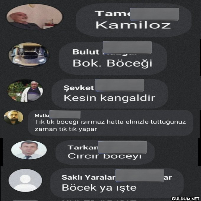 Bir böcek bölümü ile...