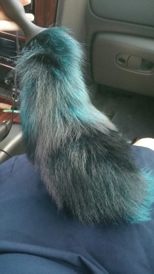 thespankacademy:  enviromental-exibitionalist:  I love my new fox tail!! :) real fox tail. It was a silver fox but they dyed it blue. Thanks spank academy!!  Yay! We’re so glad you like it! It really is beautiful! 💚💚💚www.thespankacademy.com