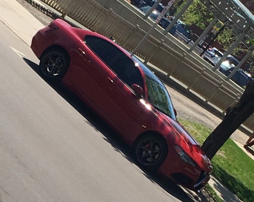 A few sightings around town