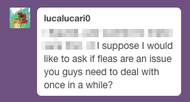 ask-the-werewolves: @lucalucari0, thanks for being follower #10,000! Ask / Patreon