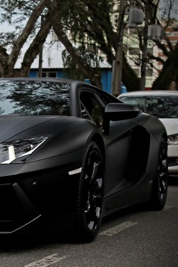 black-luxury:  Black Luxury! 