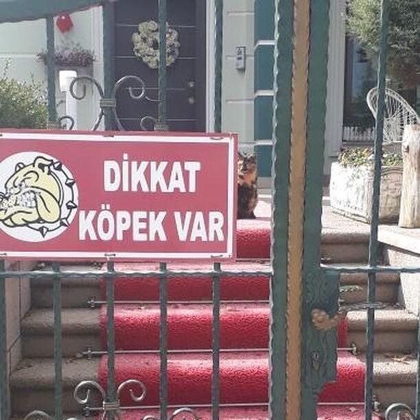 DİKKAT
KÖPEK VAR