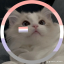 sushiperson