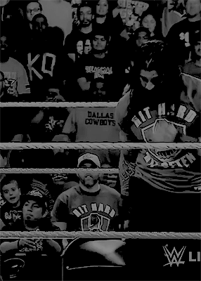 loyalreigns:  roman reigns gifs 2/∞
