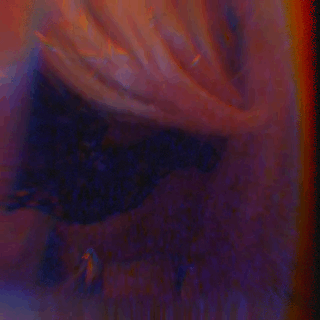 aznsissywi: Get high, do poppers, suck cock