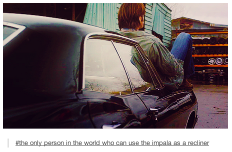 frecklesrex:  6/? Favourite Supernatural Tumblr Posts 
