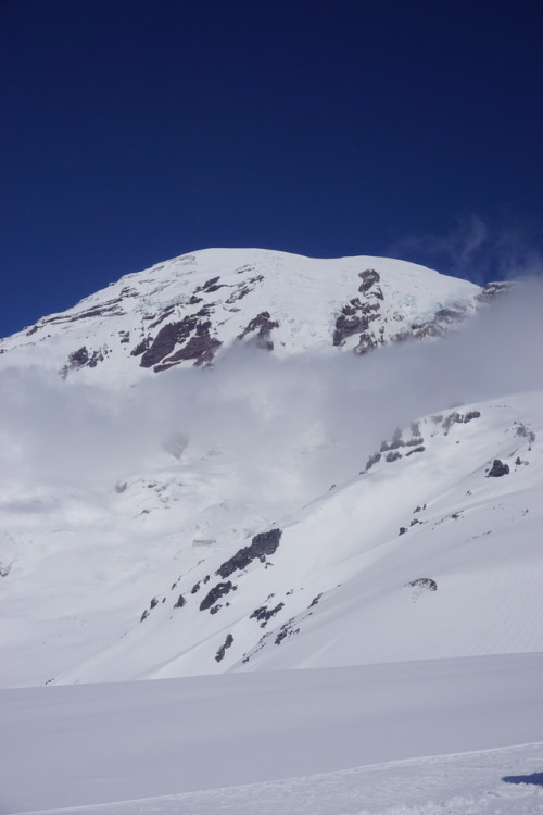 sentinel-wraith:Road to Pebble Creek and Camp Muir, Mt Rainier, Wa5/6/17