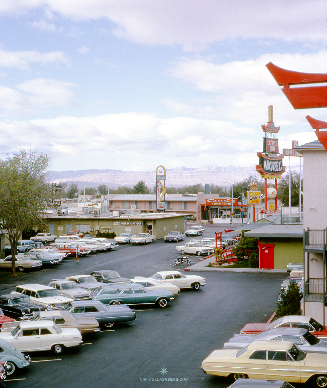 Vintage Las Vegas Las Vegas October 1965 Photographer Is At Lotus