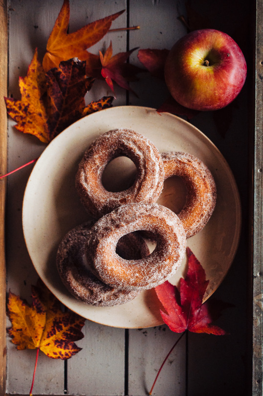 Apple Cider Doughnuts 