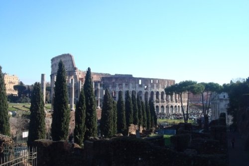 theancientgeekoroman: View of the Colosseum from the Roman Forum