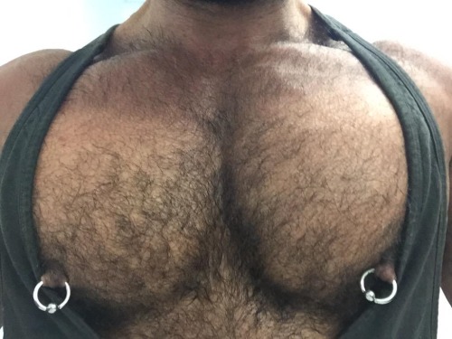 NIPPLEHORNY