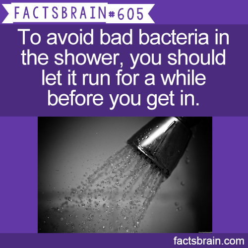 factsbrain:  To avoid bad bacteria in the shower, you should let it run for a while