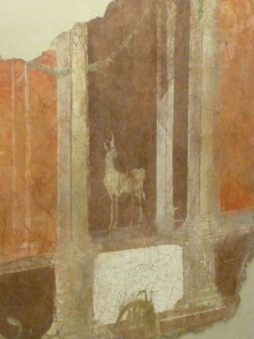 Palazzo Massimo - Villa of the Farnesina (set 2)* Mainly fresco details from living rooms, 2nd centu