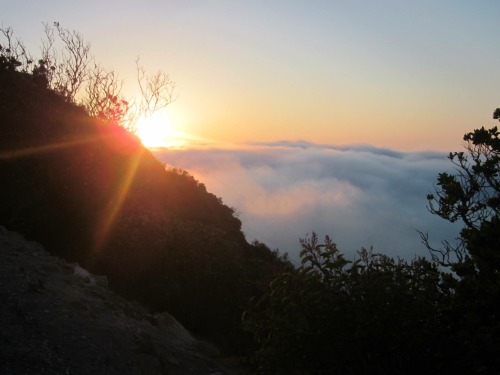 cosmossurfer:View from Mount Orizaba. The highest peak on Catalina Island.