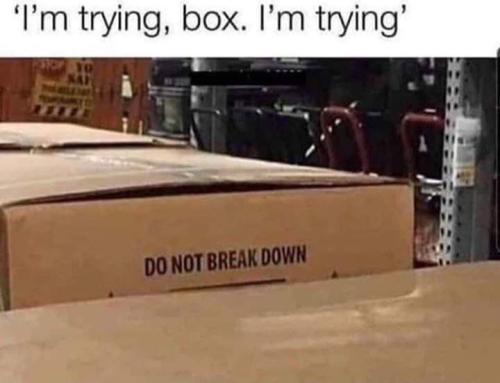 Thanks box I really needed that