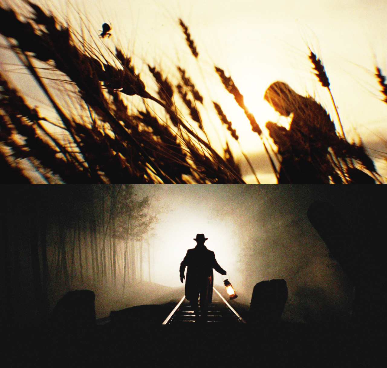 robbiesmargot-deactivated201403:  The Assassination of Jesse James by the Coward