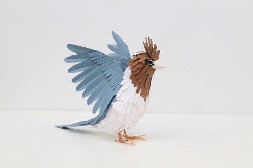 XXX mayahan:  Paper Birds by Diana Beltran Herrera photo