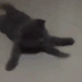 roxylalonde:roxylalonde:Help girl i am fidgeting 