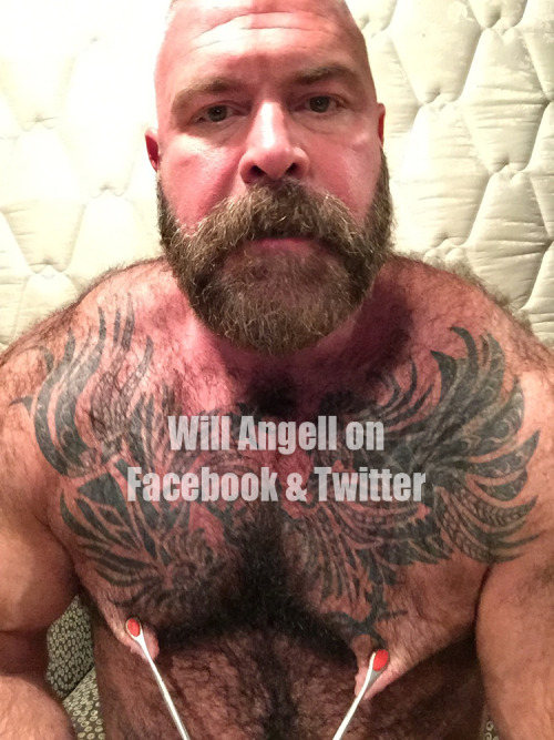 https://nipplepigs.tumblr.com/post/152330616385
