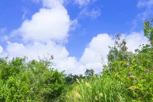 okinawa-photo:行き交う雲も、また旅人なり。