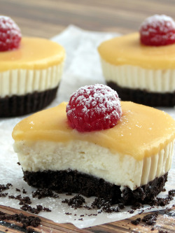 nom-food:  Mini lemon tofu cheesecake bites