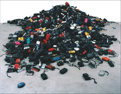 autosafari:Decommissioned Cameras, Suzanne Mooney