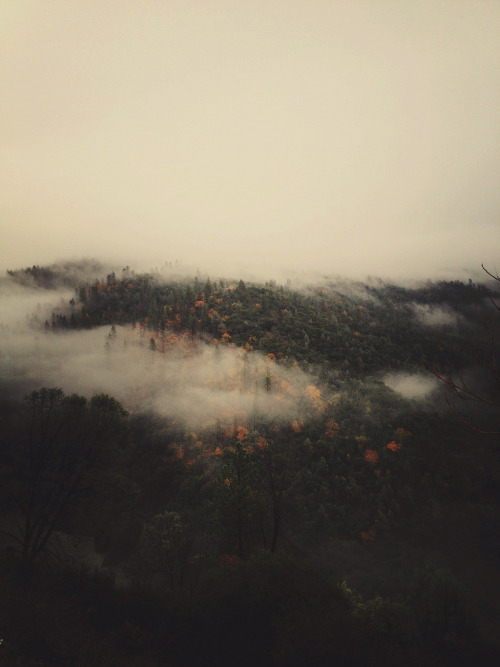 lvndcity:  American River by Dan Otis (2012) US 