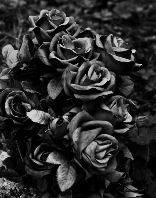 Restless Ocean Heart
