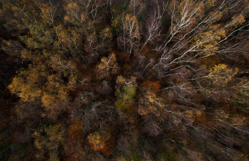 awkwardsituationist:autumn from above in kashubia, poland by kacper kowalski