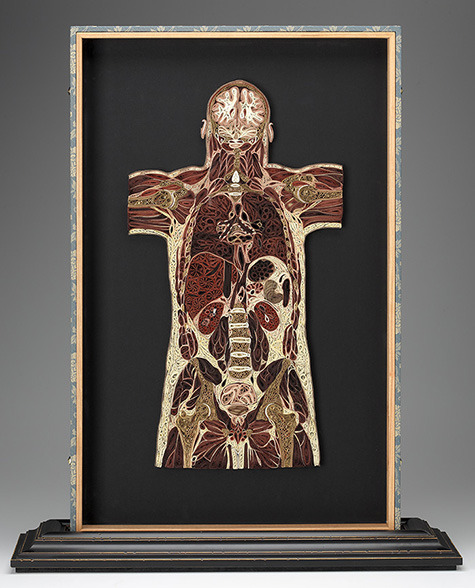 dieselotherapy:   Tissue Series  Anatomical Cross-Sections in PaperThese pieces are made of Japanese mulberry paper and the gilded edges of old books. They are constructed by a technique of rolling and shaping narrow strips of paper called quilling or