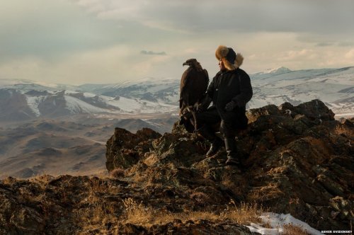 BBC News - A 13-year-old eagle huntress in Mongolia