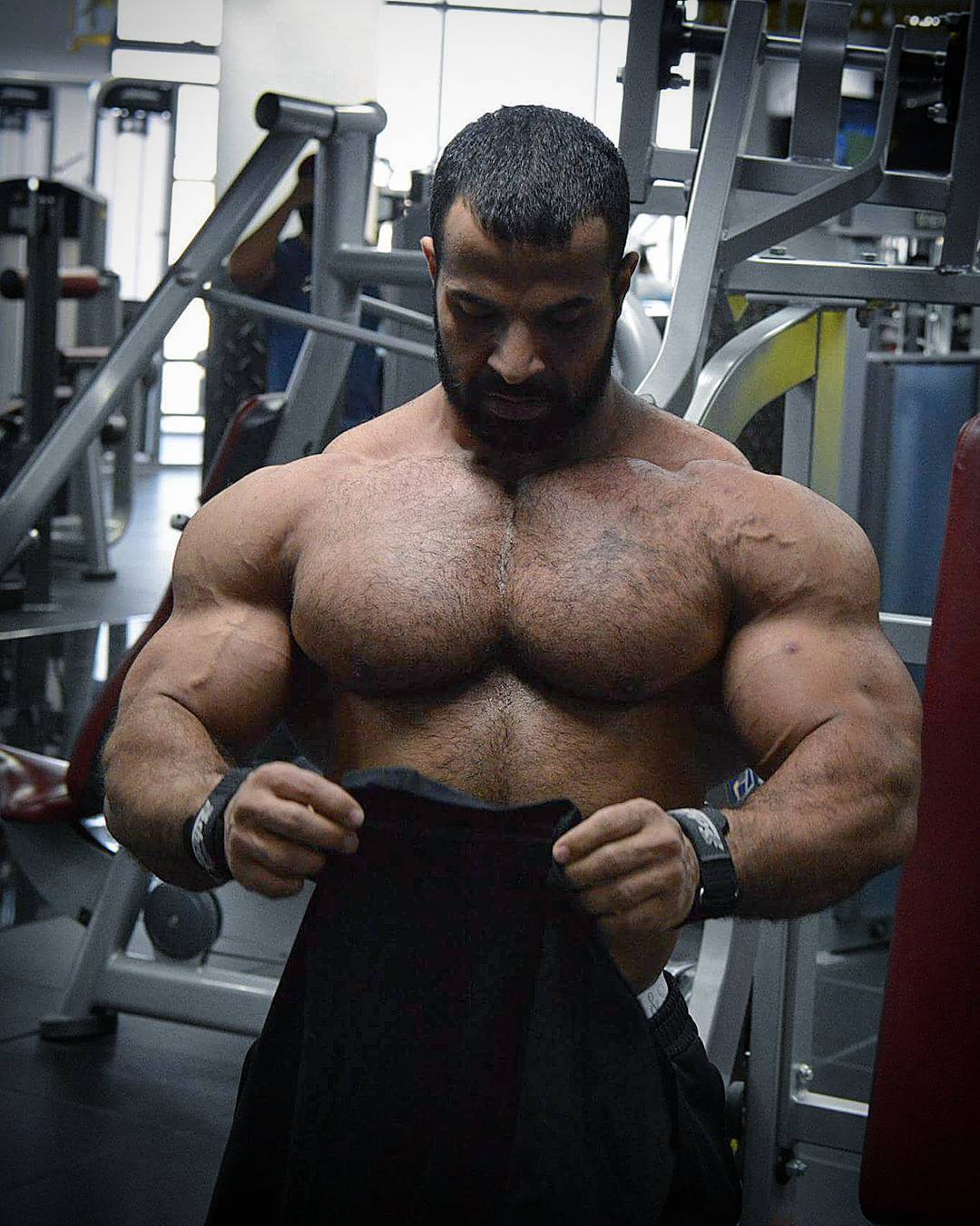 Musculos, Roids y Osos