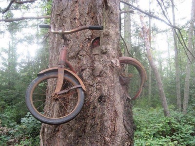 hijabiswag:
“ in 1914, a boy chained his bike to a tree, he never returned.
”
eyah