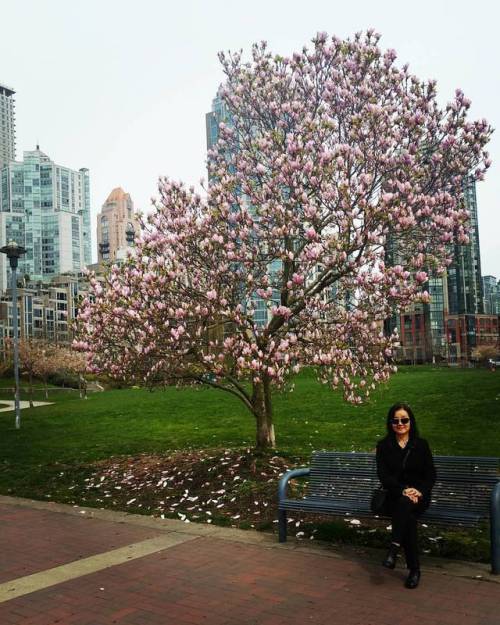 Mom&rsquo;s first trip in Vancouver. #sundayfunday #mommydearest #vancouver #toronto #the6ix #va