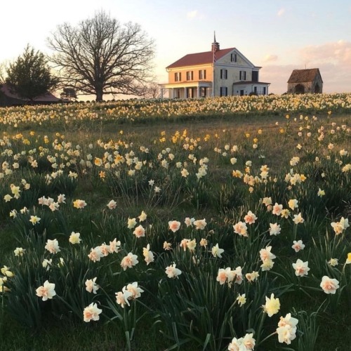 oldfarmhouse:www.instagram.com/betterhomesandgardens