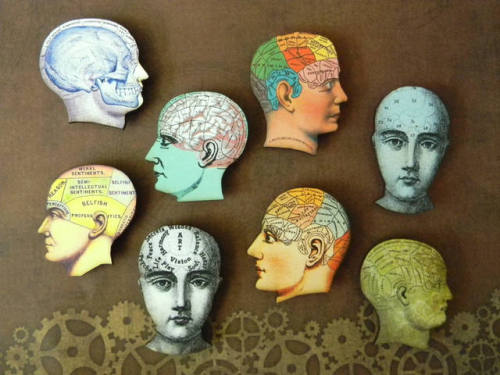 8 Phrenology Physiognomy Magnets // CuriosityShopper