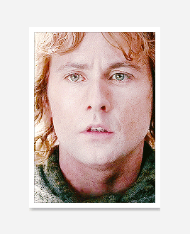 shirehobbit:And here he was, a little halfling from the Shire, a simple hobbit of the quiet countrys