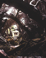 elvenking:Welcome to Middle-Earth  ☼  MirkwoodMirkwood was a dense and heavy woodland that made up m
