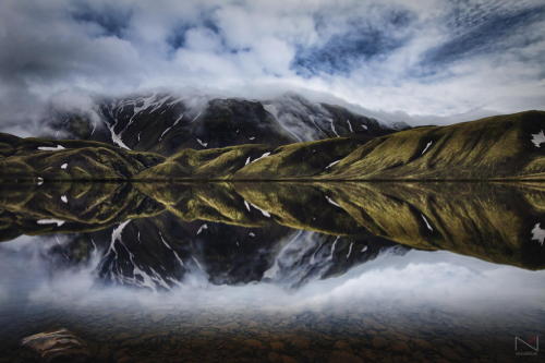 woodendreams:  (by Noam Mymon) 