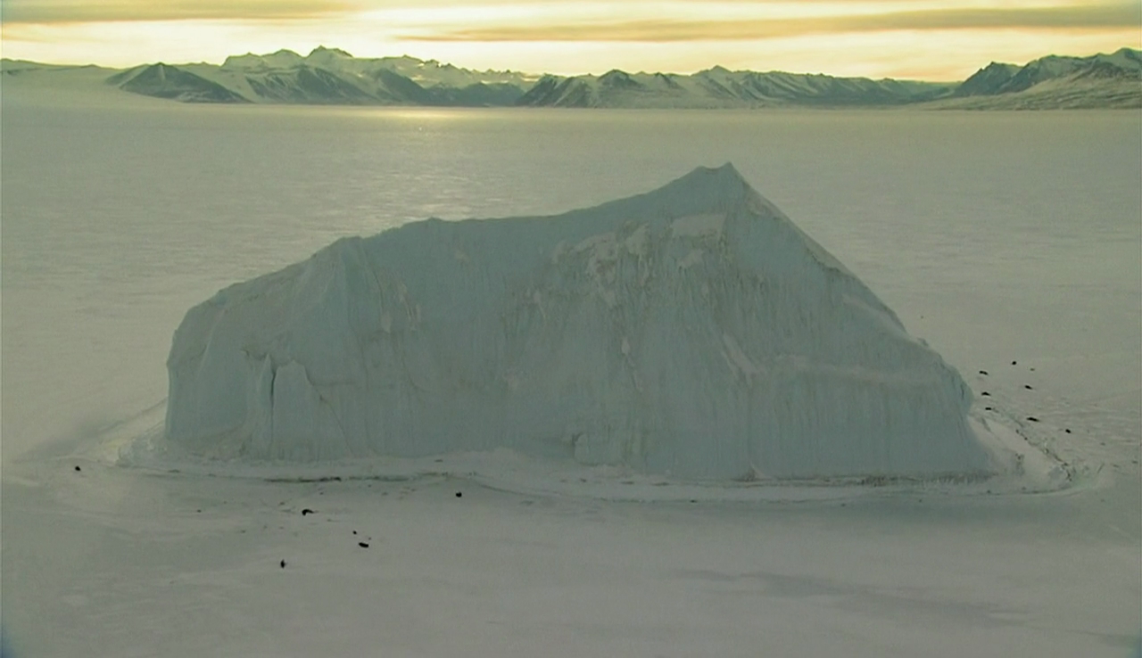 Werner Herzog - Encounters at the End of the World (2007)