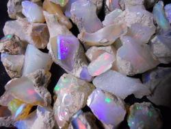 Opal-Porn