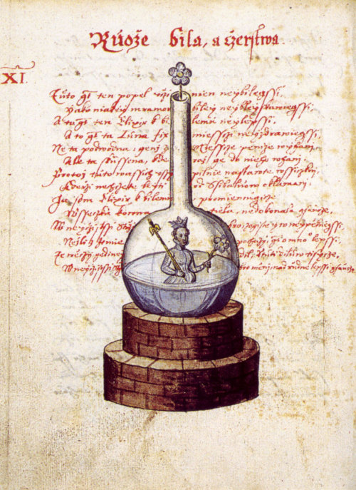 deathandmysticism:Rosarium Philosophorum, ca. 1550
