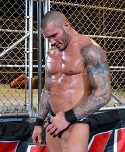 musclecorps:  Randy Orton 