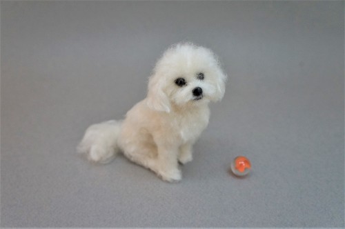  A needle felted Maltipoo.  Have a great weekend!