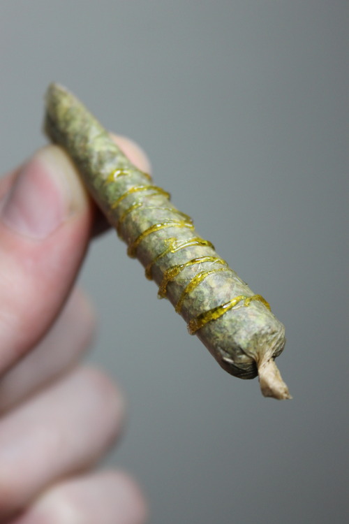 Porn sexlane:  purloiner:  Joint of Paris OG wrapped photos