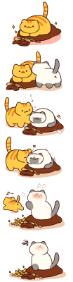 ikeatsunme:  how i play neko atsume idk it’s just a lot of fun to make up stories from the scenes in your yard i know some ppl say neko atsume becomes boring once you got all the cats and goods n it lacks of new stuff but it’s like endless series