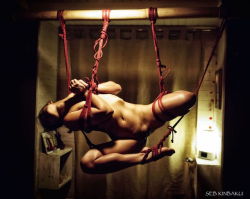 sebkinbaku:  Photo suspension Shibari Seb