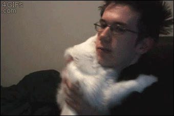 moo-im-a-goat-loki:  motivatioff:  I’ve watched this gif about a hundred times in a row and I smile every time  yes. good. 