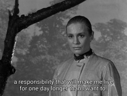 honeygleam:smultronstället (1957) dir. ingmar bergman